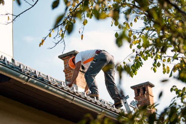 Best Gutter Installation and Roofing  in Footville, WI