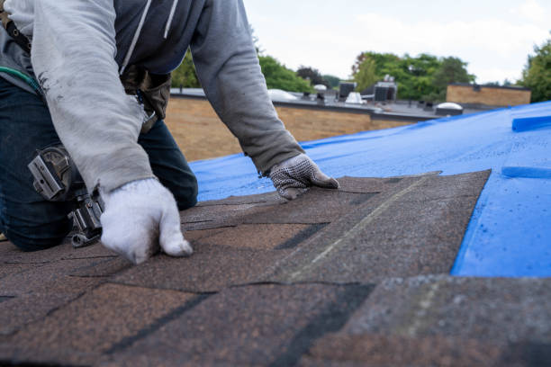Best Residential Roof Replacement  in Footville, WI
